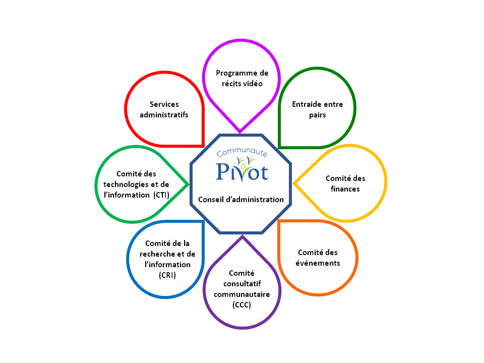 Structure des comités de Communauté Pivot : diagramme en pétales des comités spécialisés