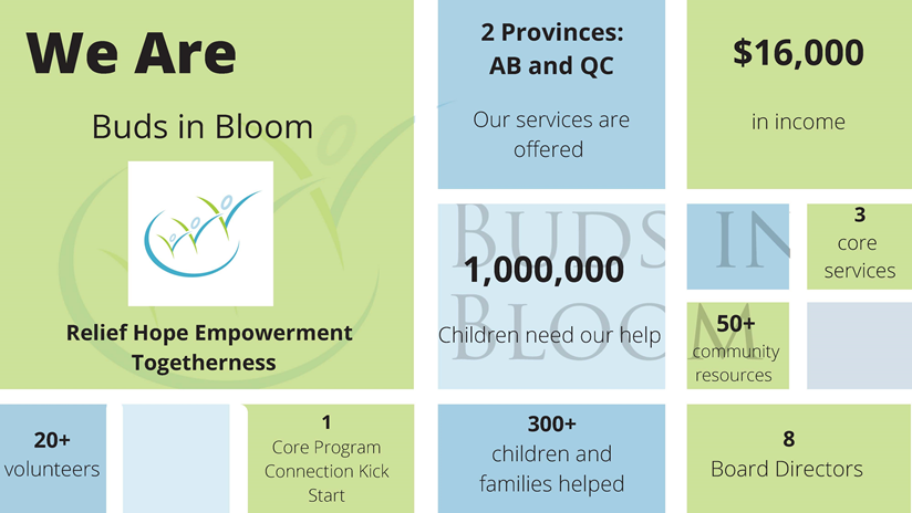 Blooming Summary 2020 - Visual representation of our impact and growth