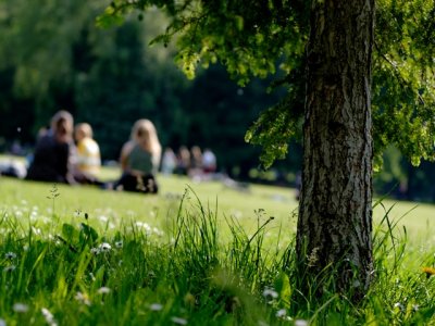 Families gathering at a community event